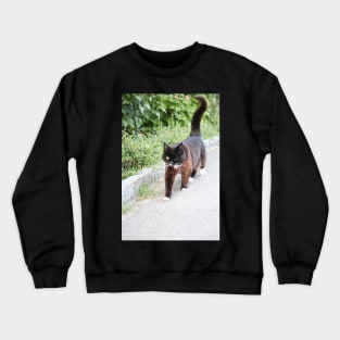 Cat - Switzerland Crewneck Sweatshirt